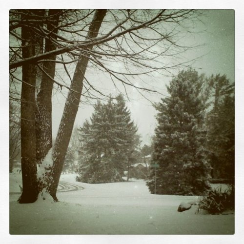 Media_httpimagesinsta_exggv