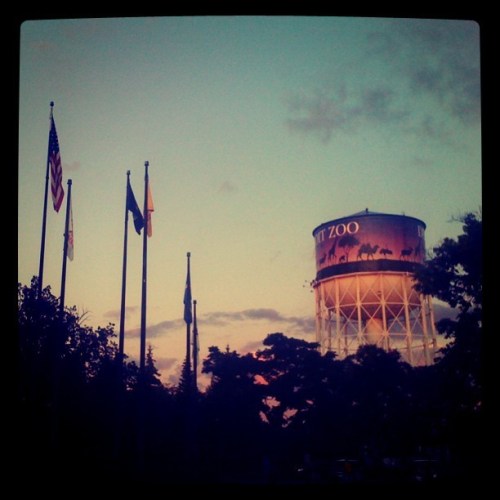 Media_httpimagesinsta_kgfzf