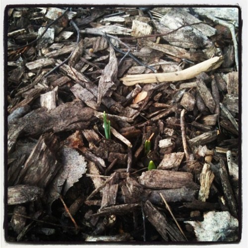 Media_httpdistilleryi_quxwe