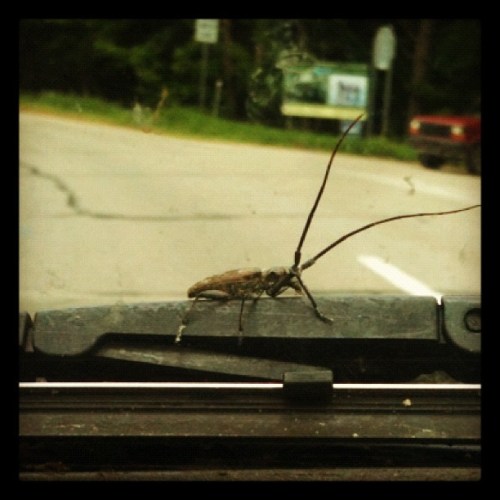 Media_httpdistilleryi_tqudw