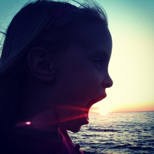 Media_httpdistilleryi_belnl