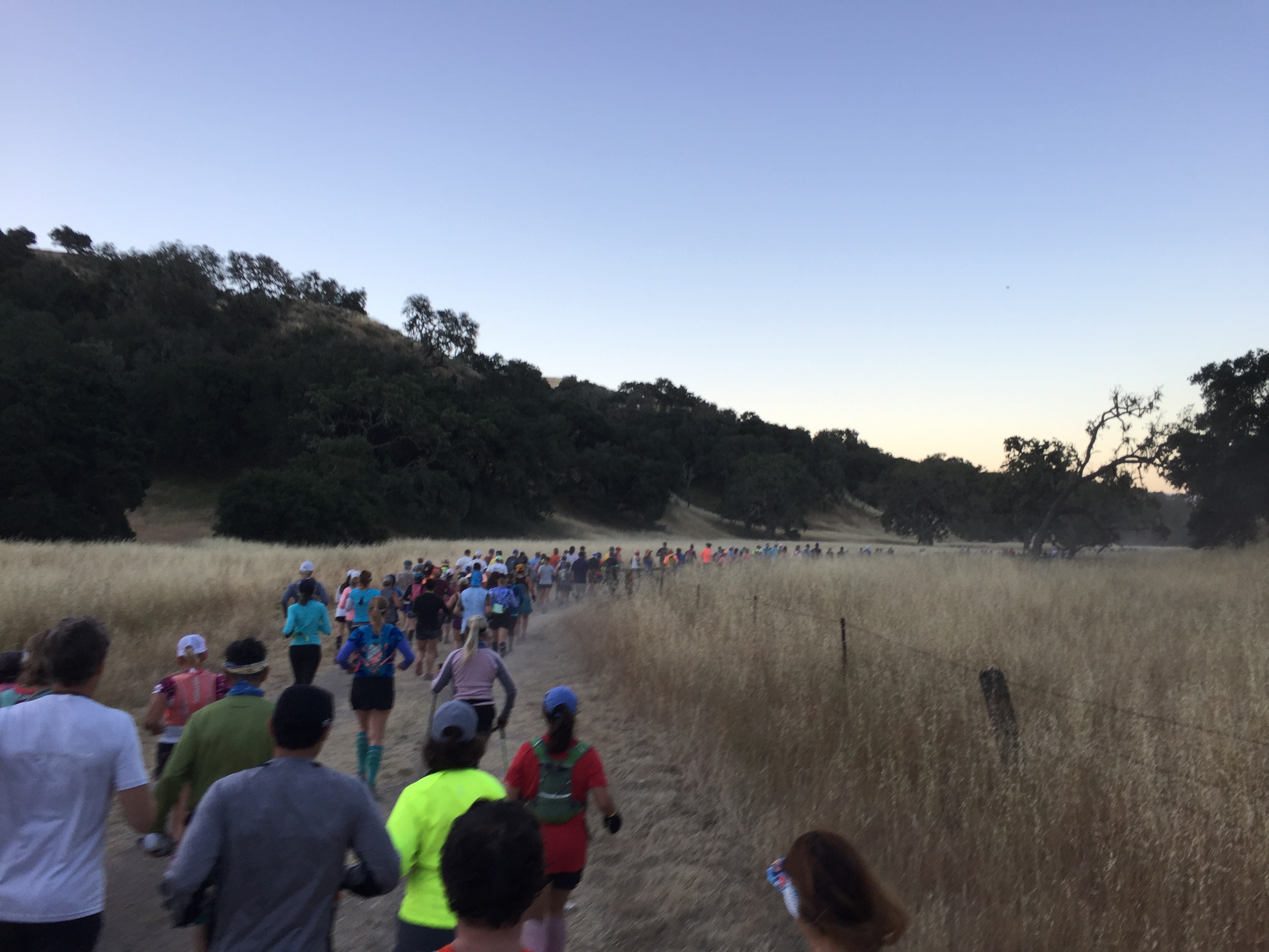 File May 27, 10 14 01 PM